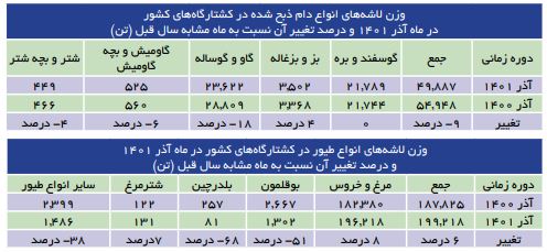 افزایش ۳۲ درصدی تولید گوشت طیور در آذرماه