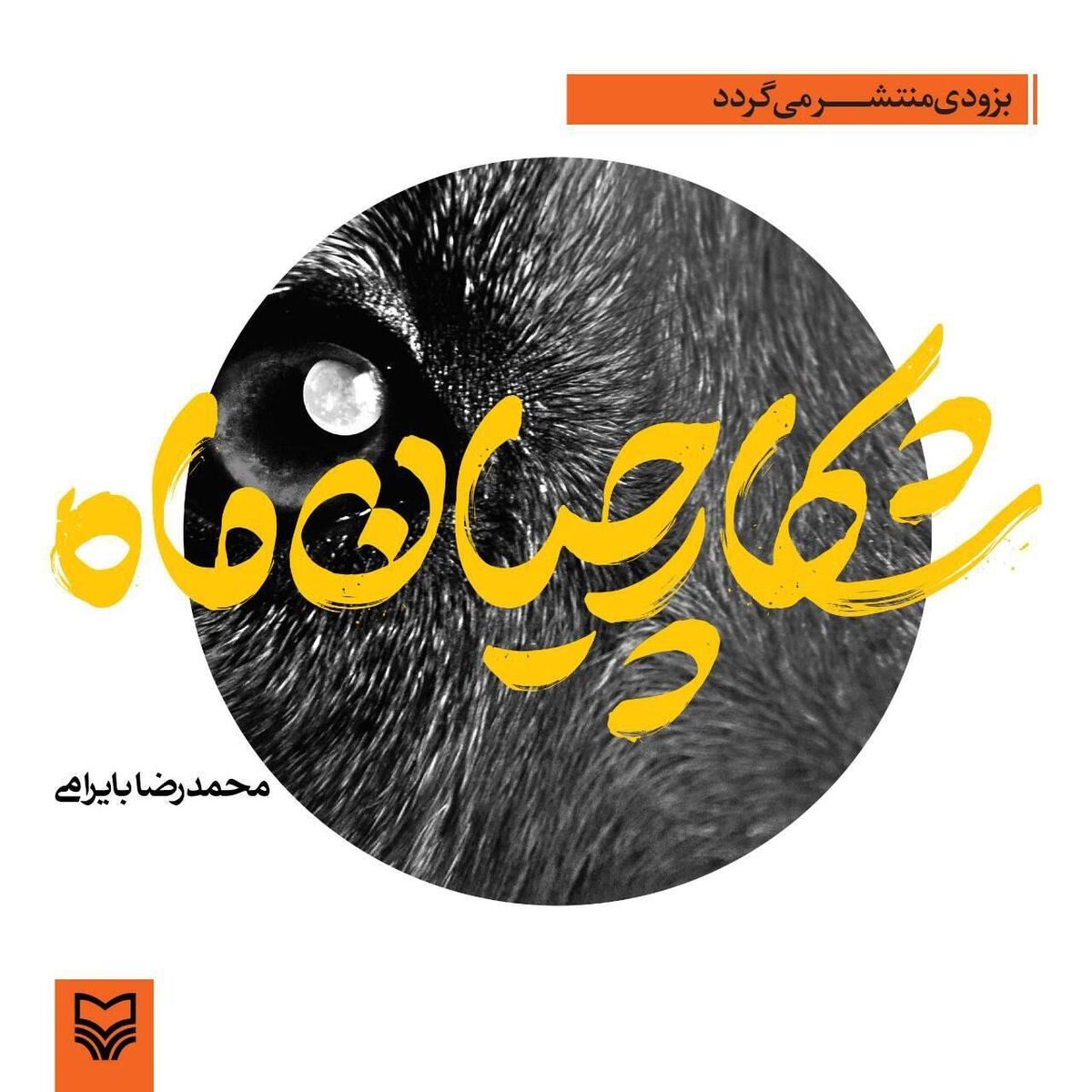 «شکارچیان ماه» از راه می‌رسد/ تجاوز صدام از زبان نگهبان تاکستان