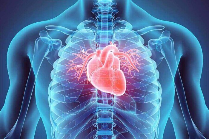 ابداع نشانگر دیجیتال برای تشخیص بیماری عروق کرونر قلب