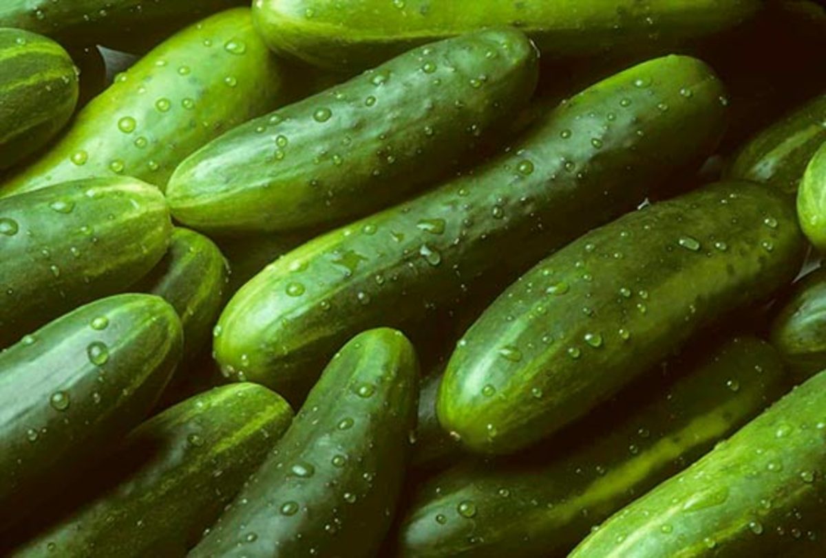 فواید خیار میوه‌ی سرشار از فیبر برای زنان باردار