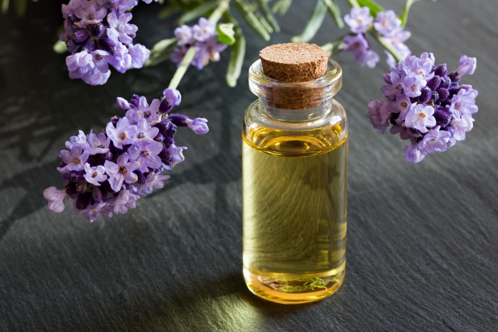 آیا اسطوخودوس برای باردار شدن انتخاب بی خطری است؟