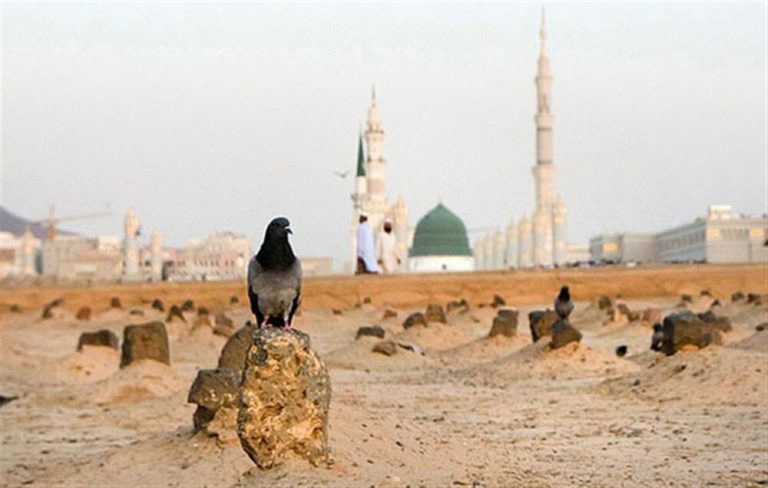 همه چیز درمورد حضرت فاطمه زهرا (س)؛ از ولادت تا وفات