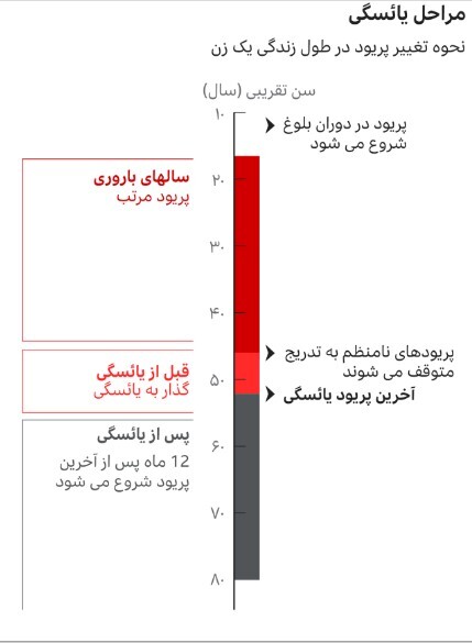 همه چیز درمورد دلیل و علائم یاسگی