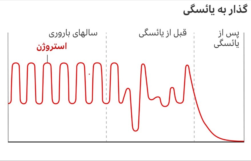 همه چیز درمورد دلیل و علائم یاسگی