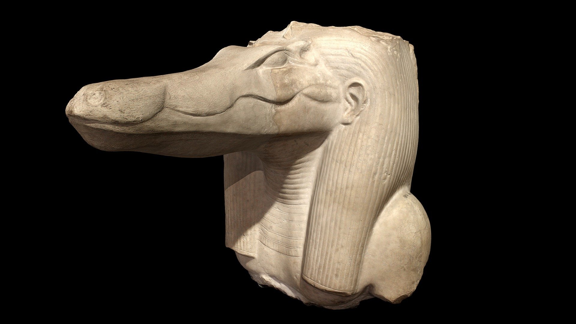 کشف ۹ سر تمساح حین حفاری دو گور متعلق به اشرافیان مصر باستان