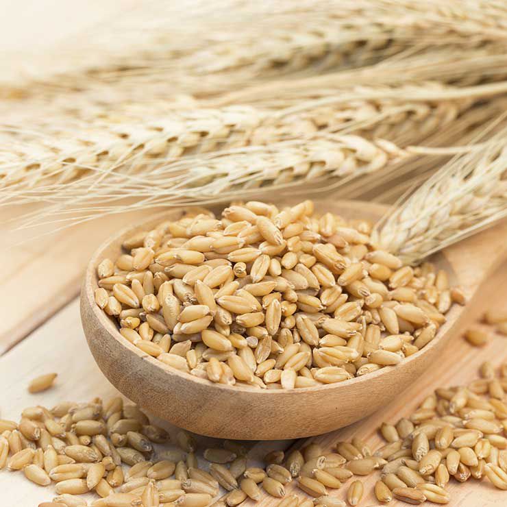 برای کالری سوزی بیشتر این غذا‌های خوشمزه را امتحان کنید