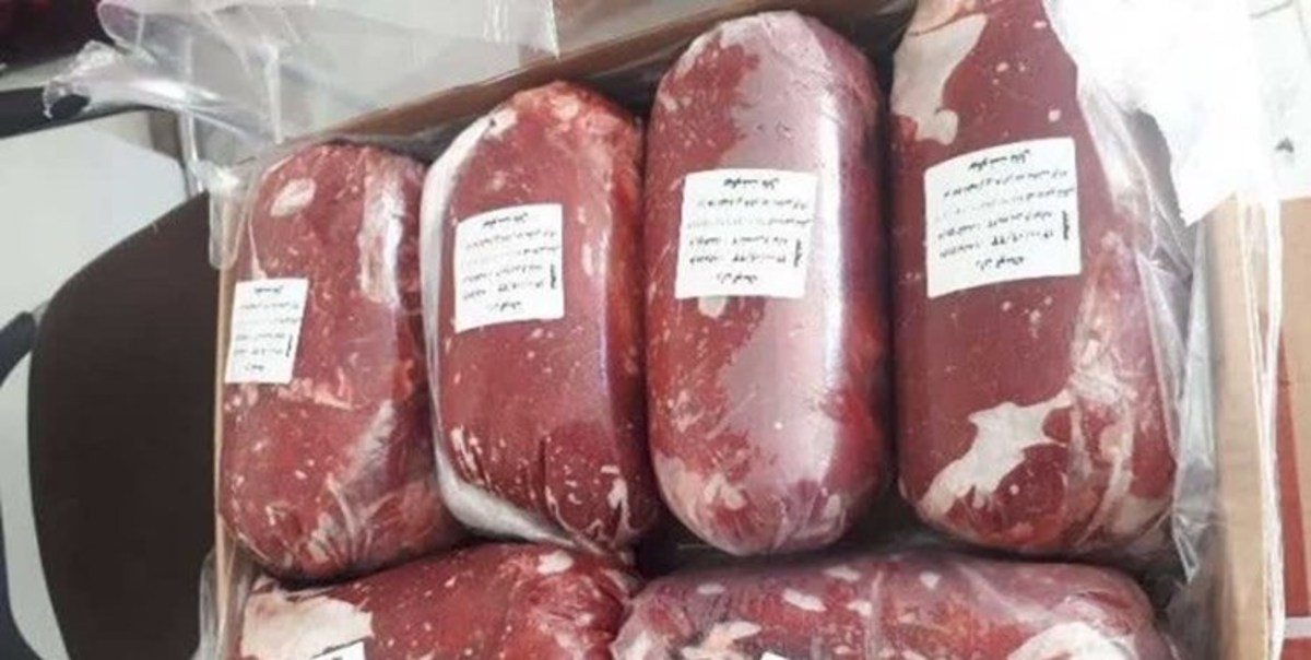 دو اقدام دولت برای کاهش نرخ گوشت/آغاز توزیع گسترده گوشت قرمز منجمد به نرخ دولتی