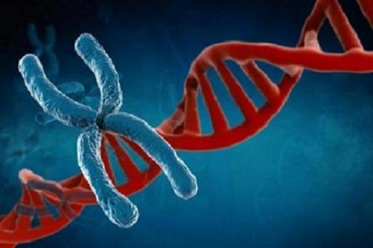افیش ۴ یا ۵ برابر خطر لخته شدن خون در افراد دارای کروموزوم جنسی اضافی