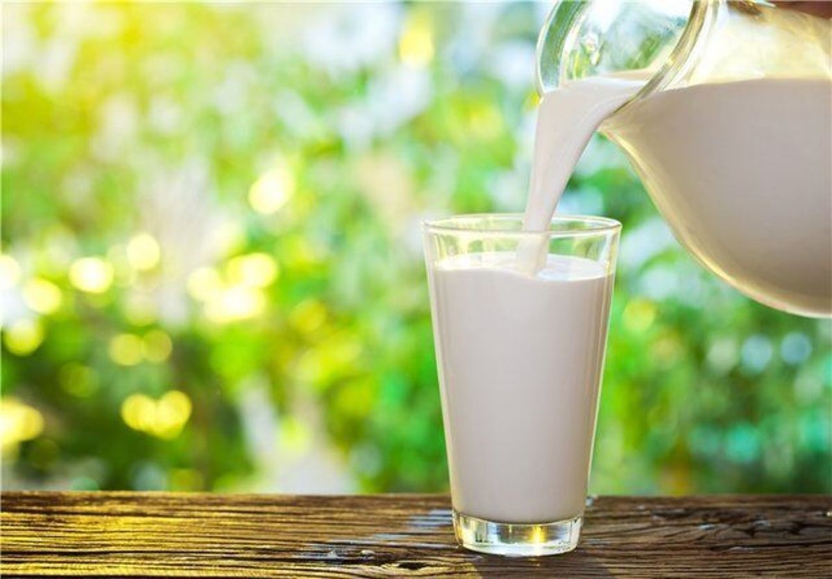 باور‌های غلط، اما رایج درمورد مصرف شیر با مواد غذایی مختلف