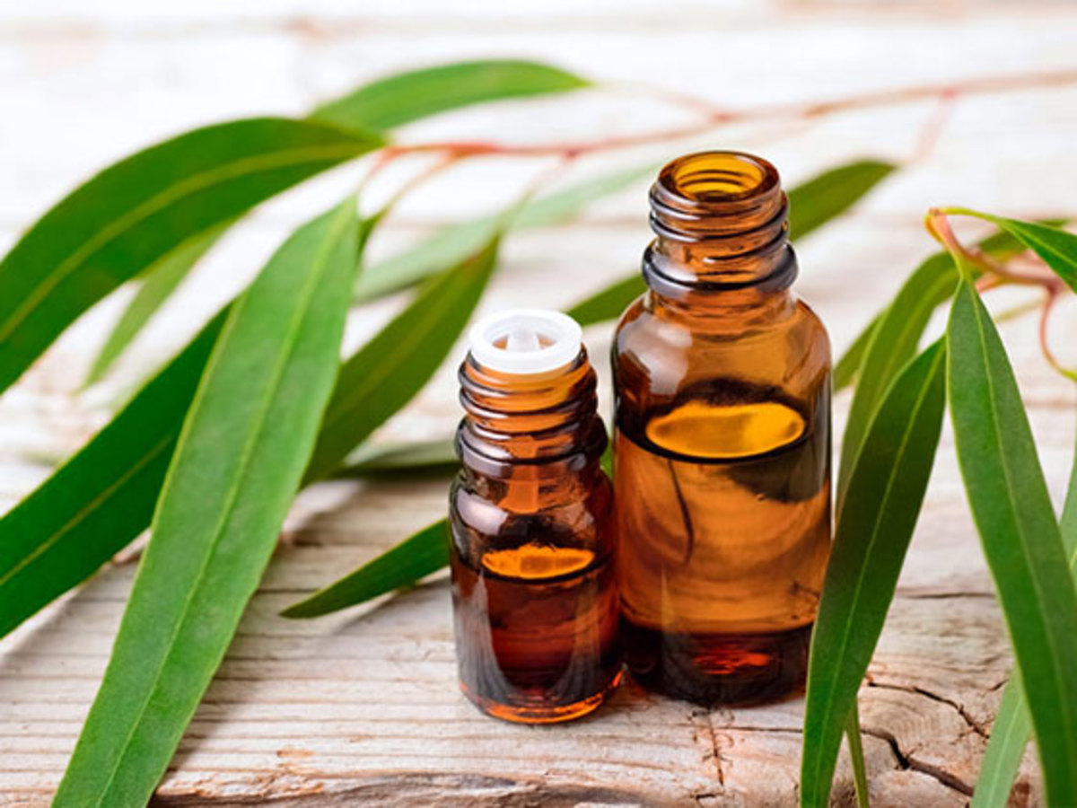 تاثیر معجزه آسا روغن اکالیپتوس برای رشد و تقویت مو