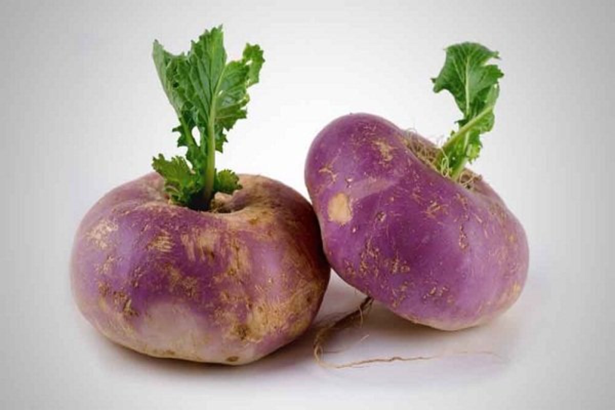 بهرین راه درمان یبوست زمستانی چیست؟