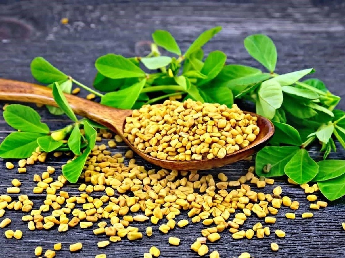 مزایای شگفت انگیز تخم شنبلیله؛ از رفع چین و چروک تا نابود کردن موخوره مو
