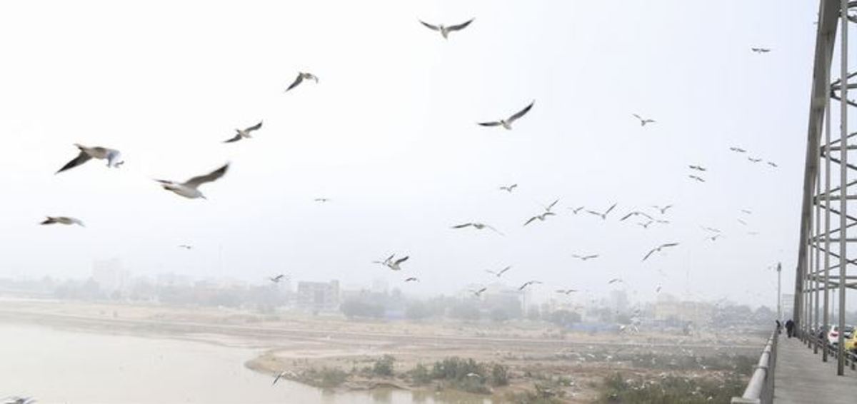 هوای ۶ شهر خوزستان در وضعیت 