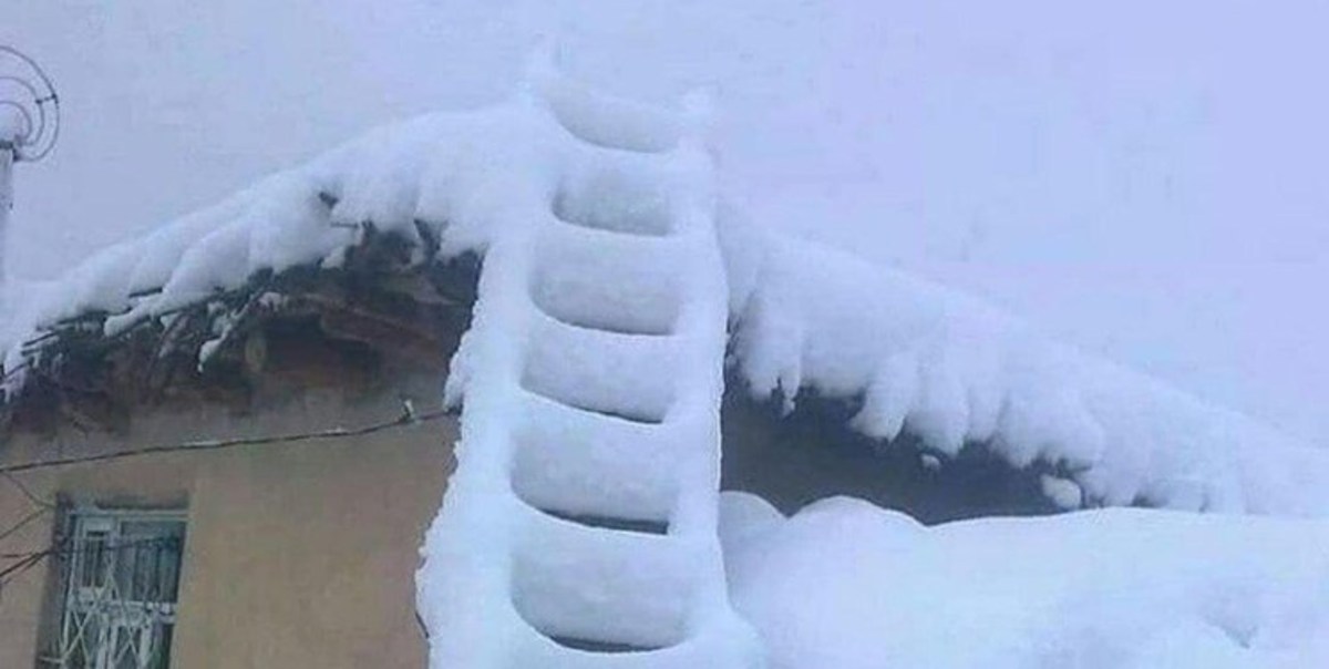 بارش سنگین برف و کولاک مراکز تفریحی و گردشگری سپیدان را تعطیل کرد