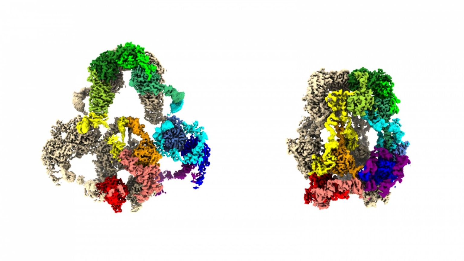 نقش ایجاد نقشه‌های سه بعدی از پروتئین‌ها در فیلتر کردن سموم