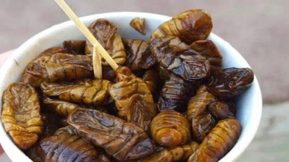 انواع غذا‌های چندش آور و ترسناک که در رستوران‌های کره ایی سرو می‌شود