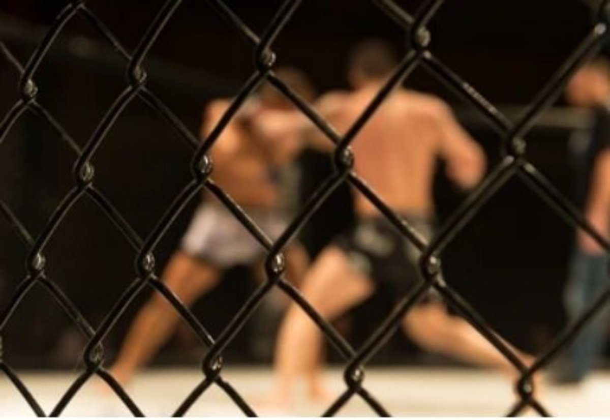 اولین مسابقات رسمی MMA در ایران