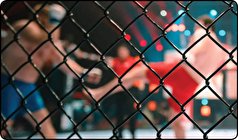 MMA فایتر‌های ایرانی را به صف کرد