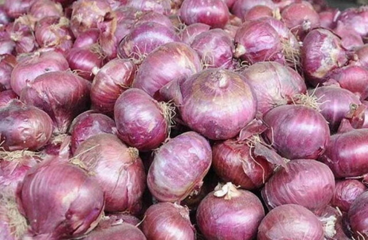 عرضه قطره‌چکانی سبب افزایش قیمت پیاز شده است