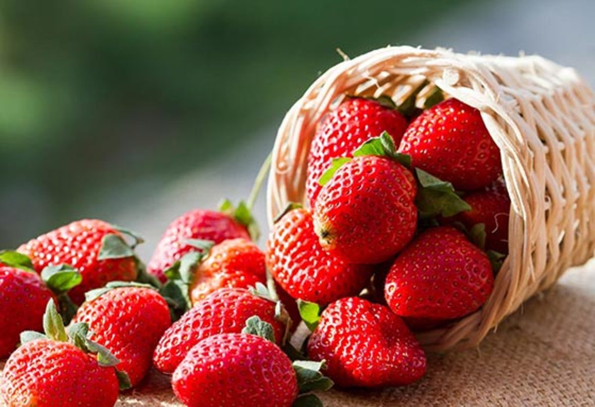فواید اعجاب انگیز میوه خوشمزه و خوشرنگ توت فرنگی برای بارداری