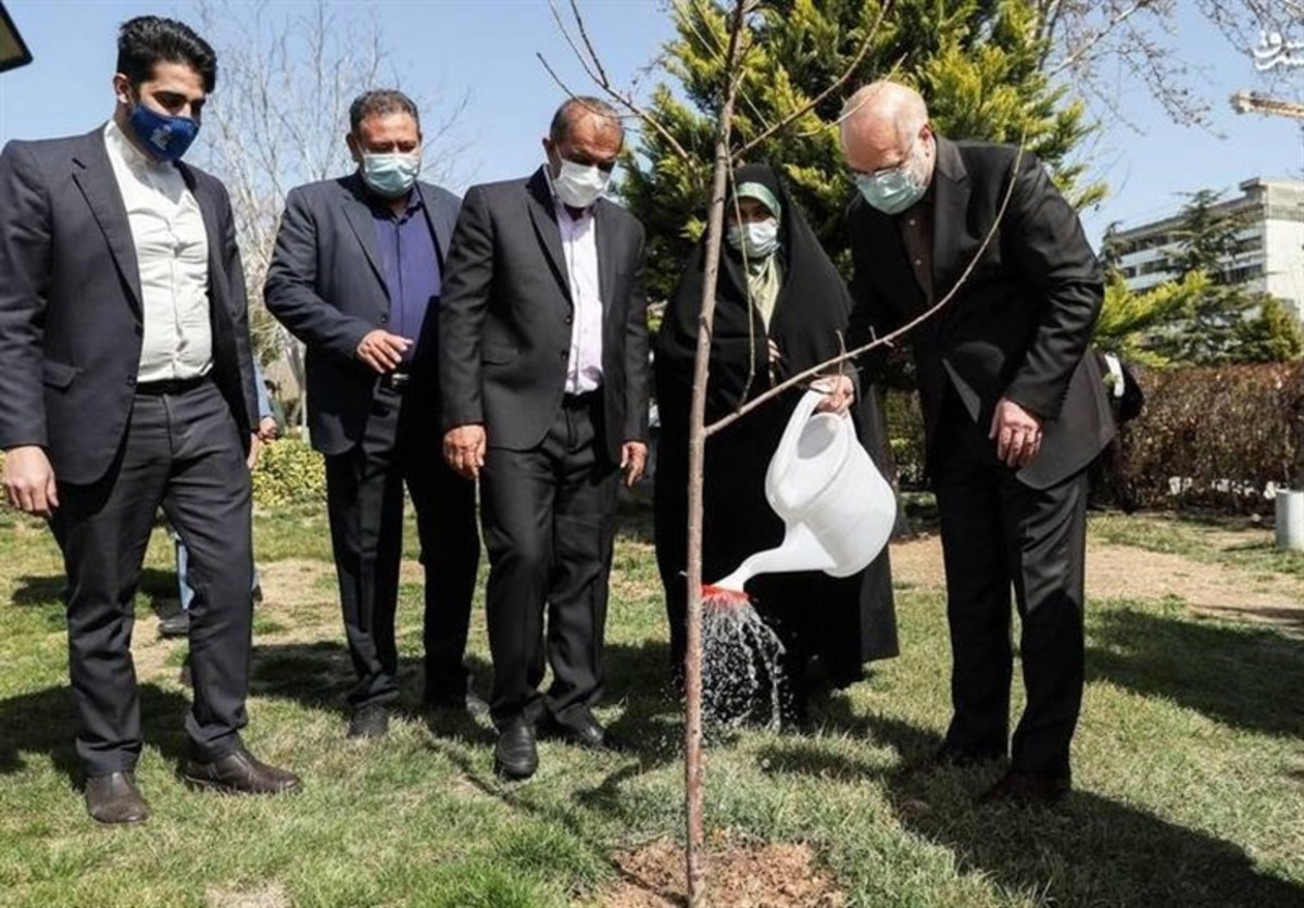 غرس نهال درخت گیلاس توسط قالیباف به مناسبت روز درختکاری