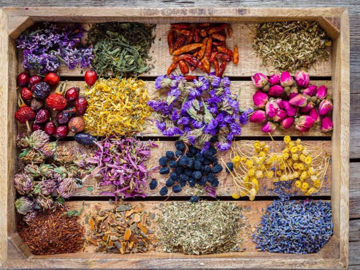 گیاهان دارویی درمانی برای خون ریزی‌های داخلی و خارجی