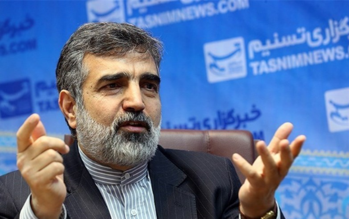 کمالوندی: مشکل ما با آژانس این است که هم به نعل می‌زند و هم به میخ!