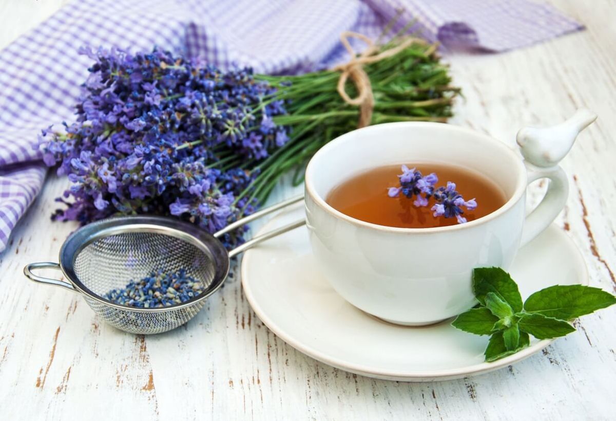 گیاهی که بی خوابی را درمان میکند