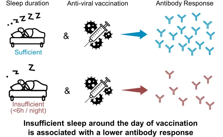 تاثیر واکسن به خواب بستگی دارد