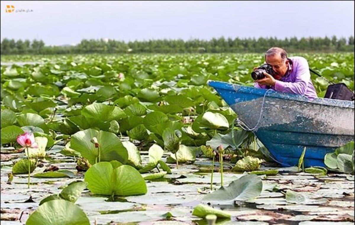 سراب نیلوفر؛ نگین سراب‌های سرزمین آب و سنگ