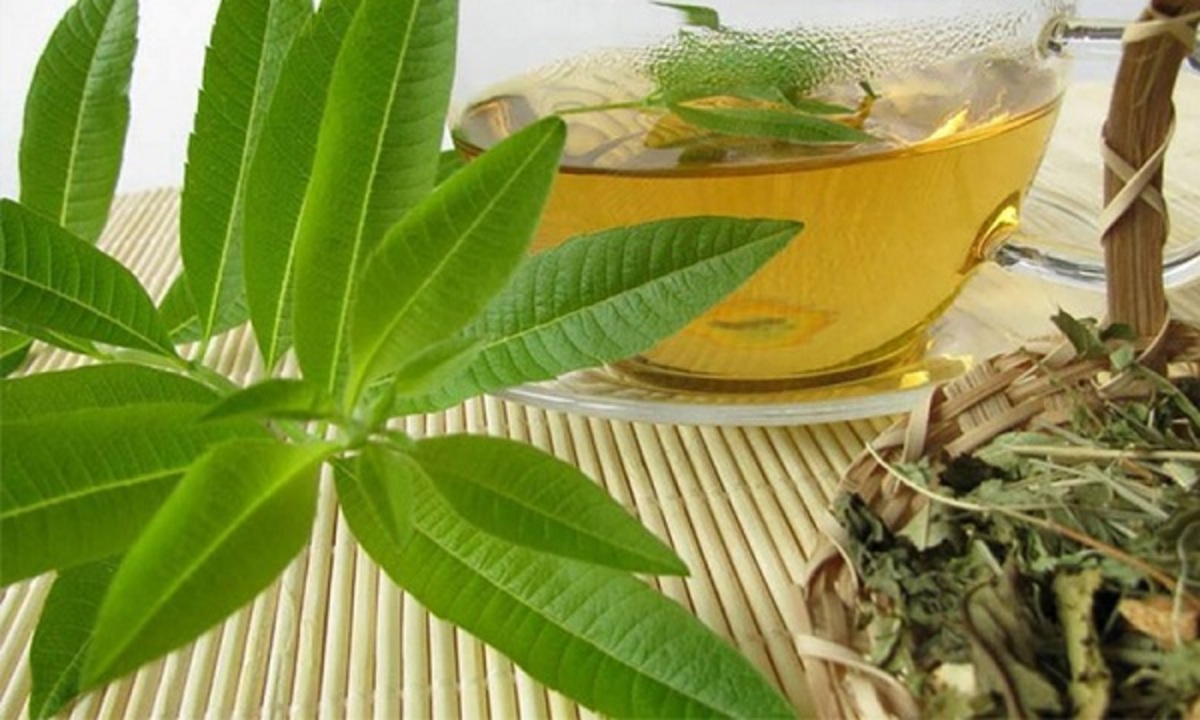 دمنوشی عالی برای آرامش