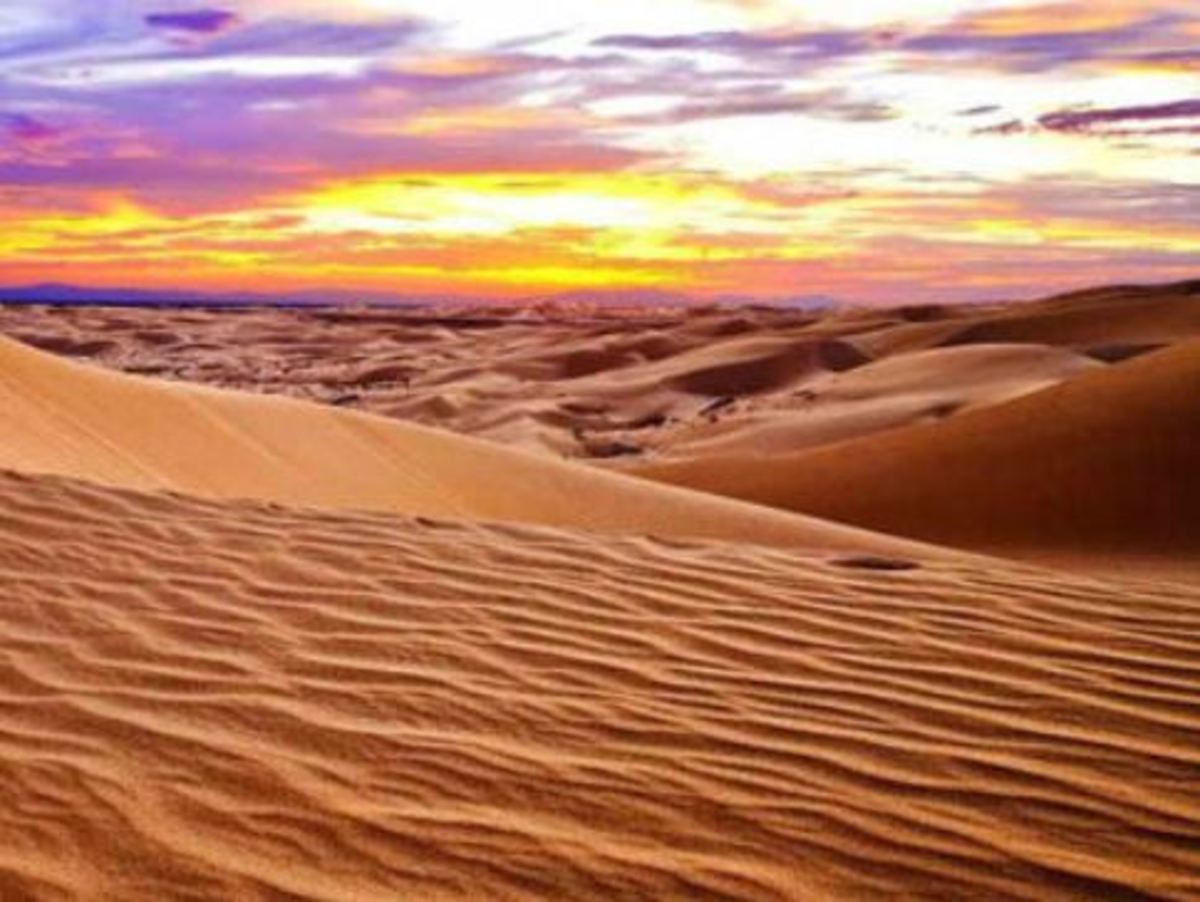 نجات یک گردشگر غیربومی در کویر گرمسار