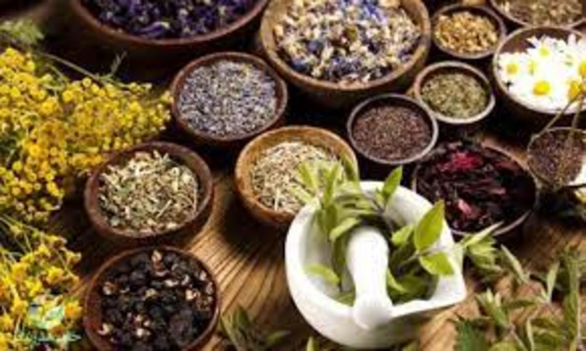 گیاهان دارویی درمان راحت‌تر و ارزانتر بیماری ام اس