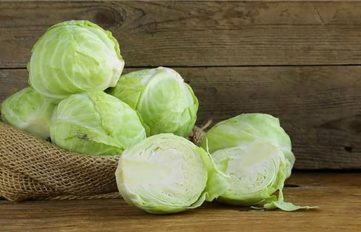تاثیر کلم در پیشگیری از سرطان