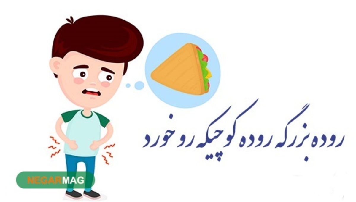 ضرب المثل ” روده بزرگه روده کوچیکه رو خورد “