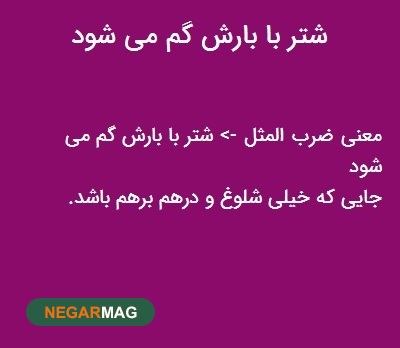 ضرب المثل ” شتر با بارش گم می‌شود “