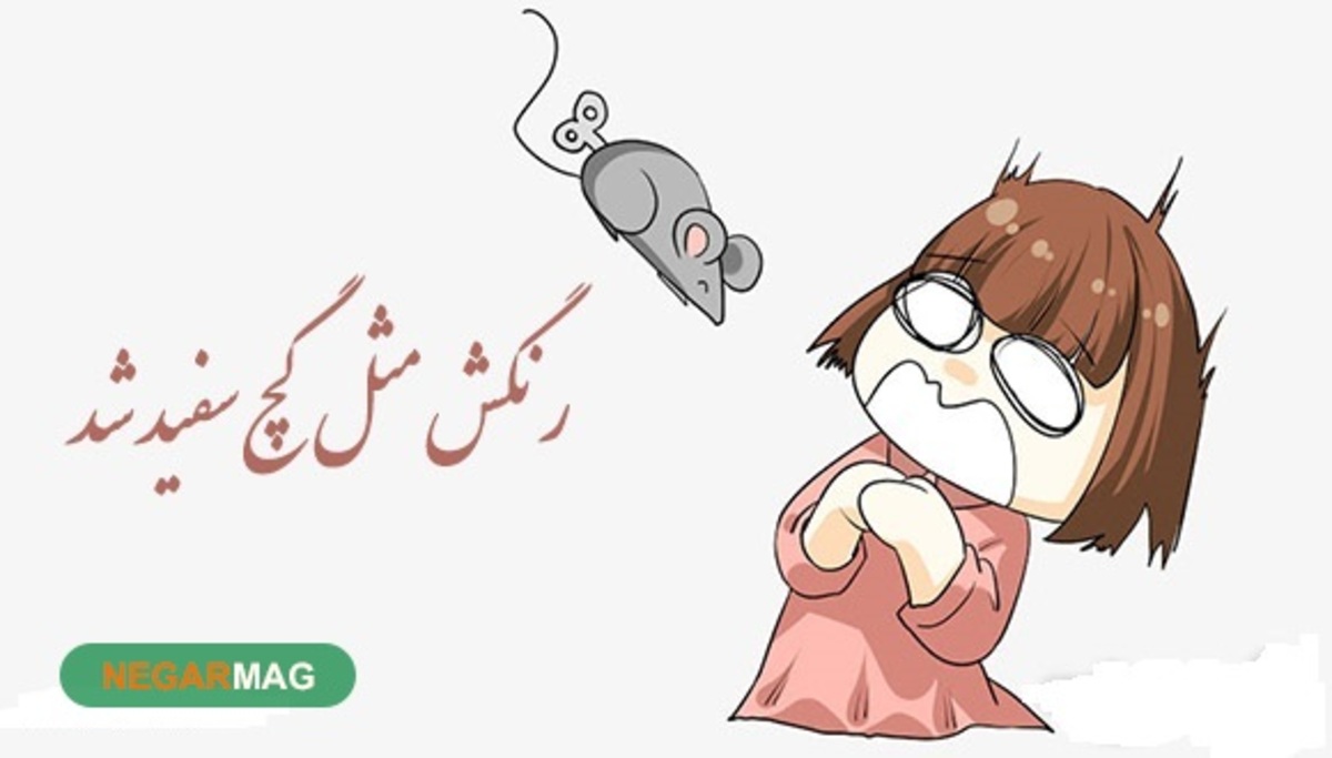 ضرب المثل ” رنگش مثل گچ سفید شد “