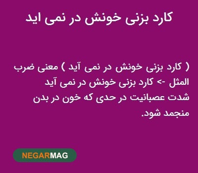 ضرب المثل ” کارد بزنی خونش در نمی‌آید “