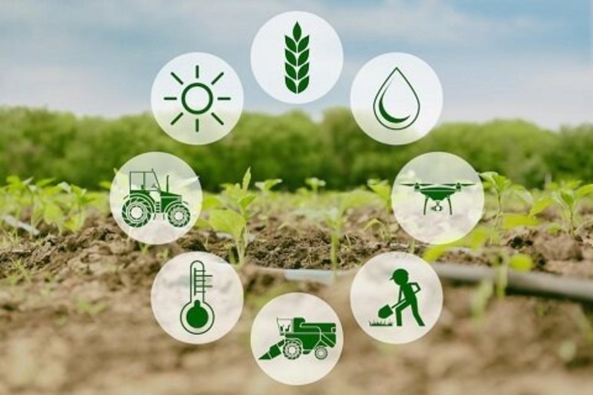 کاهش ۱۵ میلیارد دور ریز مواد غذایی با ۳ فناوری نوین