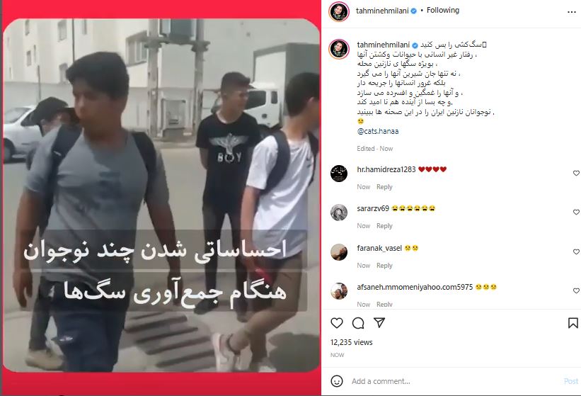 سگکشی را بس کنید ! سگکشی را بس کنید !