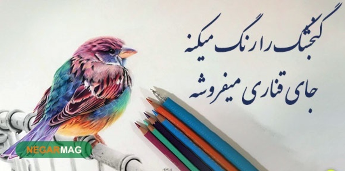 ضرب المثل ” گنجشک را رنگ میکنه جای قناری میفروشه “