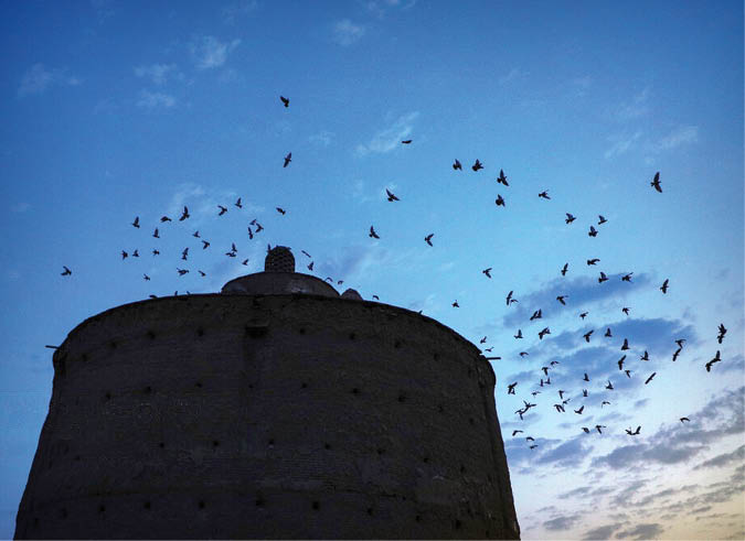 واقعیت کبوترخانه‌ها؛ ۵ کبوترخانه معروف در ایران با ویژگی خاص و قابل توجهی