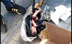 جزئیات کشف نوزاد ۲ روزه از سطل زباله‌ای در نازی آباد