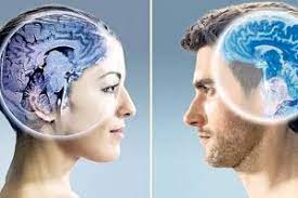 مغز چه کسی گرم‌تر است؟ زنان یا مردان