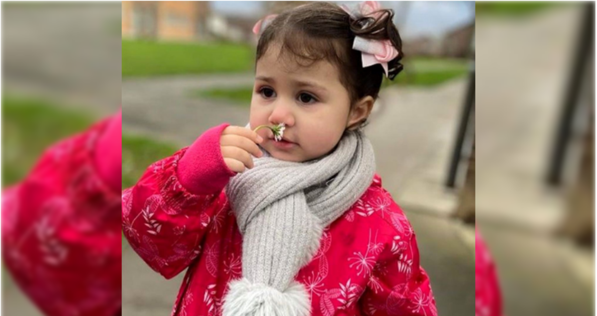 خواب خرگوشی و معصومانه نبات استخری