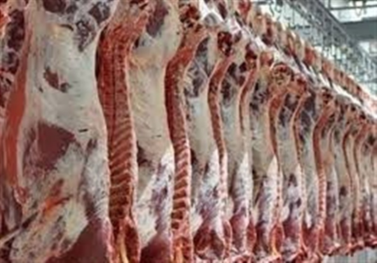 درخواست اتحادیه دامداران برای عرضه مستقیم گوشت قرمز در میادین میوه و تره بار