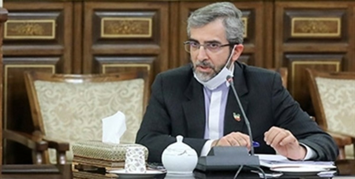 باقری‌کنی: هیچ کشوری نیست که طعم تلخ نقص حقوق بشر آمریکایی را نجشیده باشد