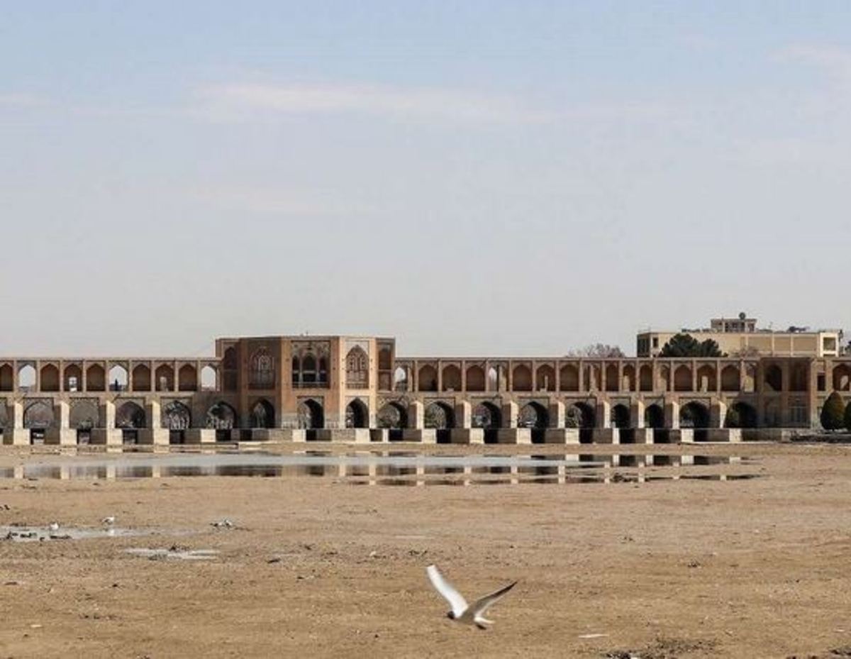 نصف جهان میزبان جشنواره ورزشی بانوان کمیته امداد