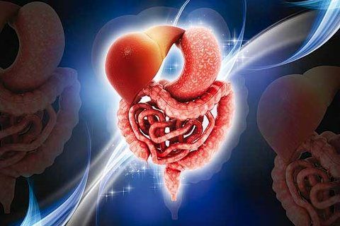 شیوع گاستروانتریت: از آنفلوانزای معده چه می‌دانید؟