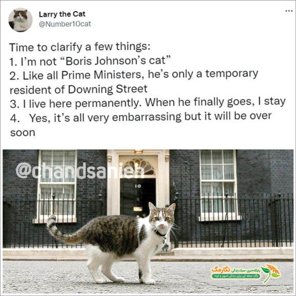 توئیت روز: گربه‌ای که مسیر خود را از بوریس جدا کرد!